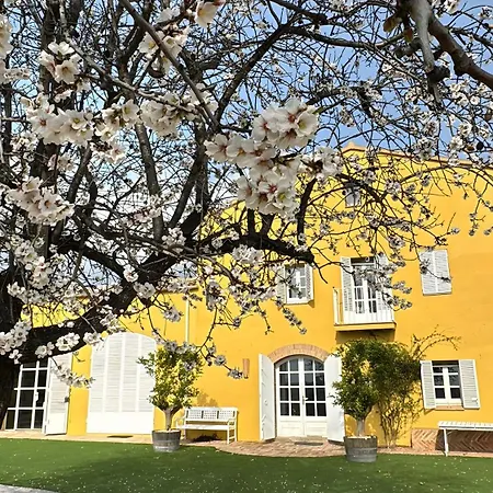 Lidia Rural House *